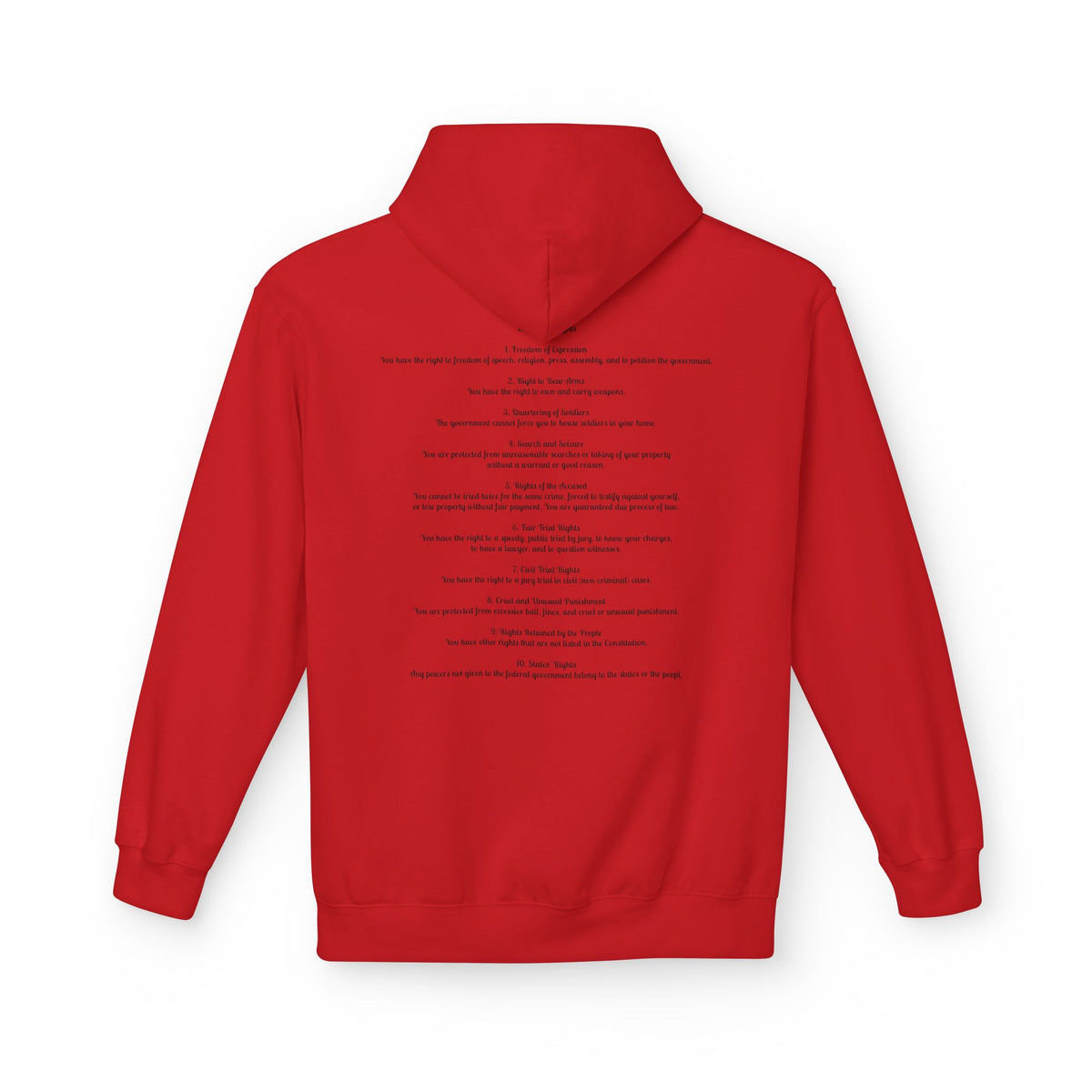 Hoodie - The Founding Beagle, Bill of Rights Design