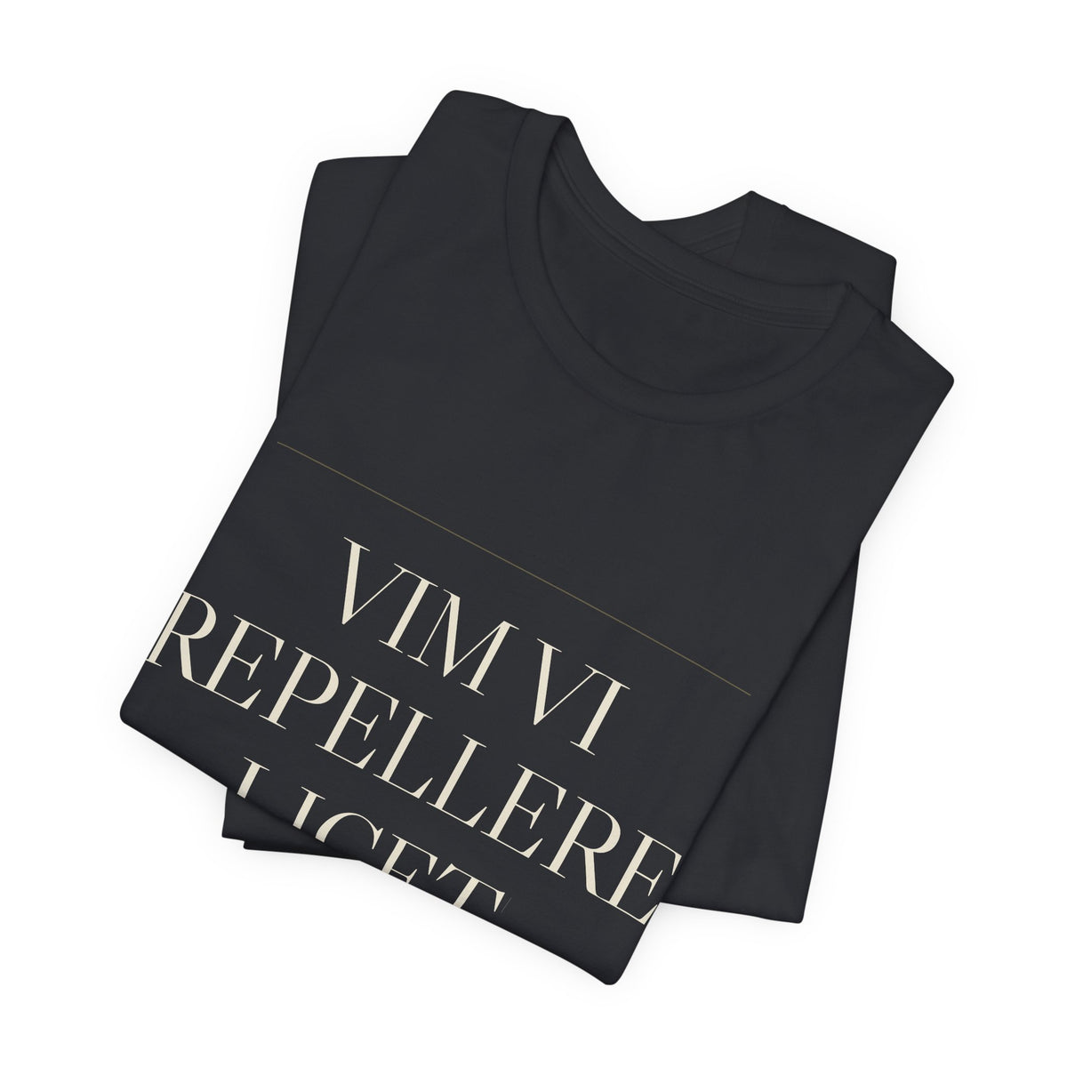 Vim Vi Repellere Licet — Second Amendment Tee (Black)