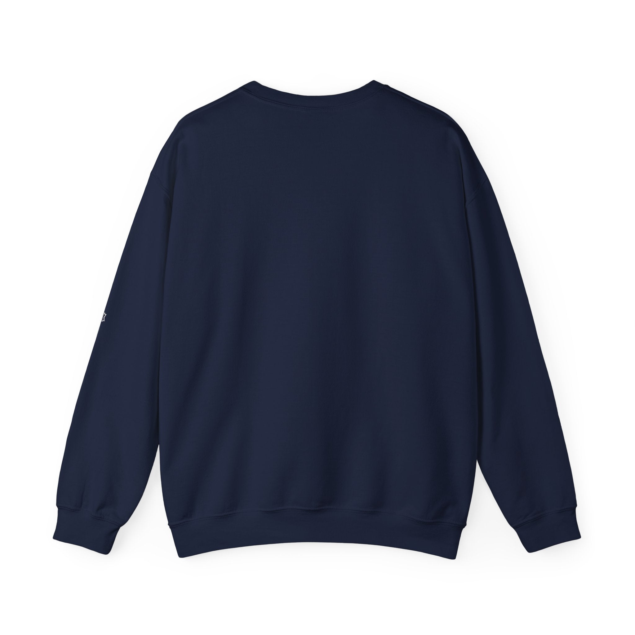It Is Not One Company — ALPR Crewneck (Black)