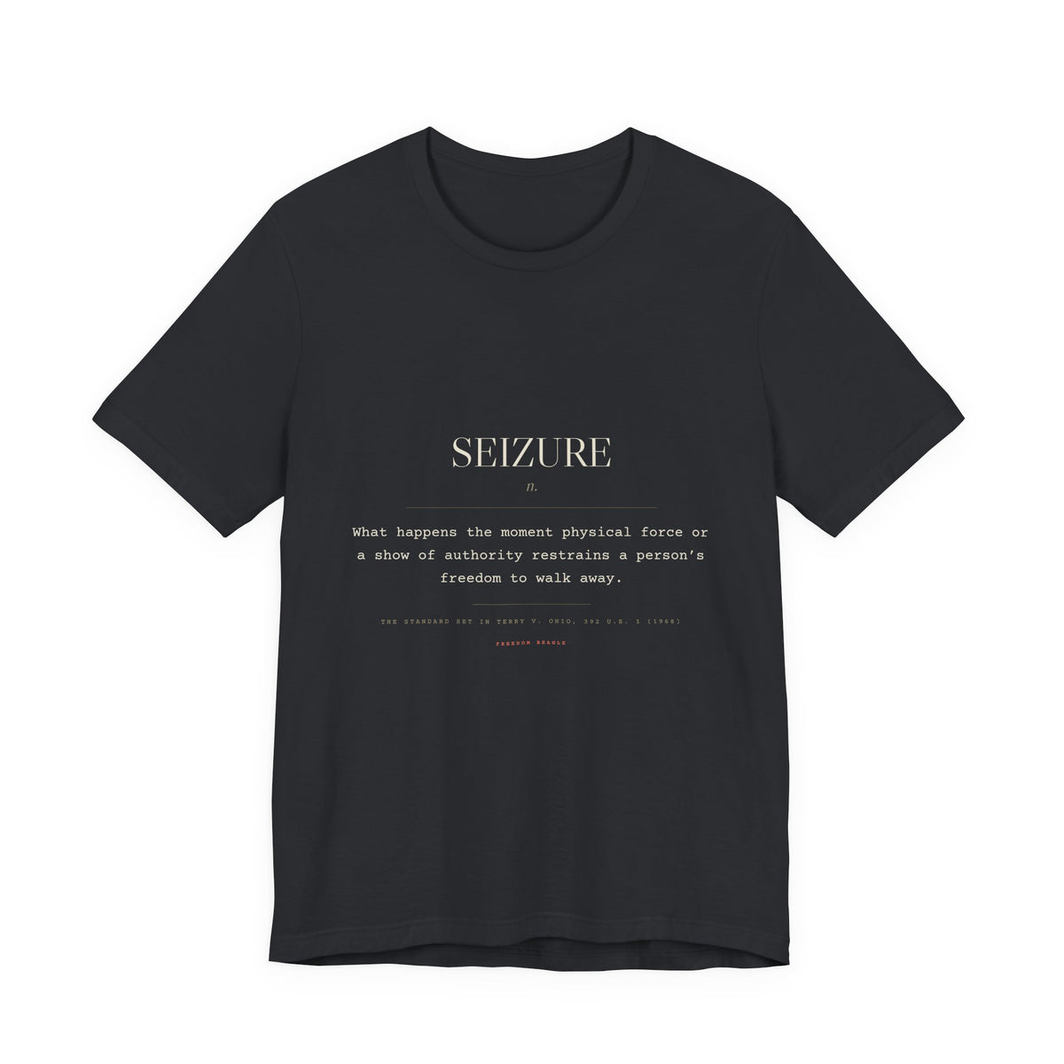 Seizure, n. — Terms of Art Tee