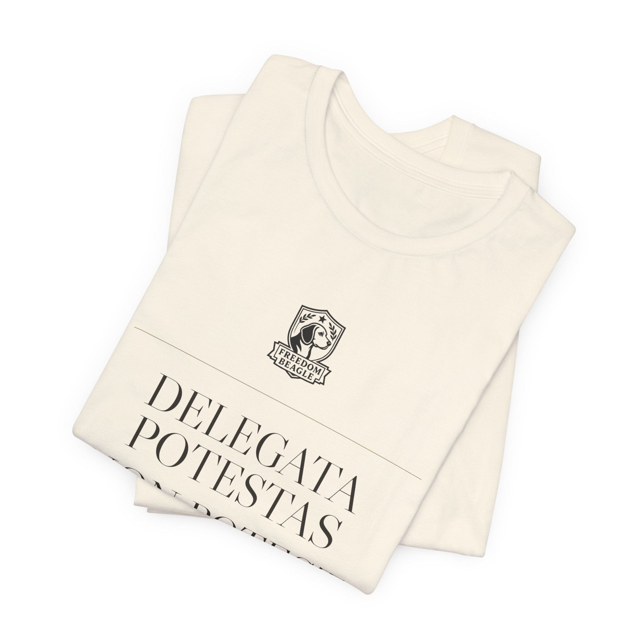 Delegata Potestas Non Potest Delegari — Administrative State Tee (Natural)