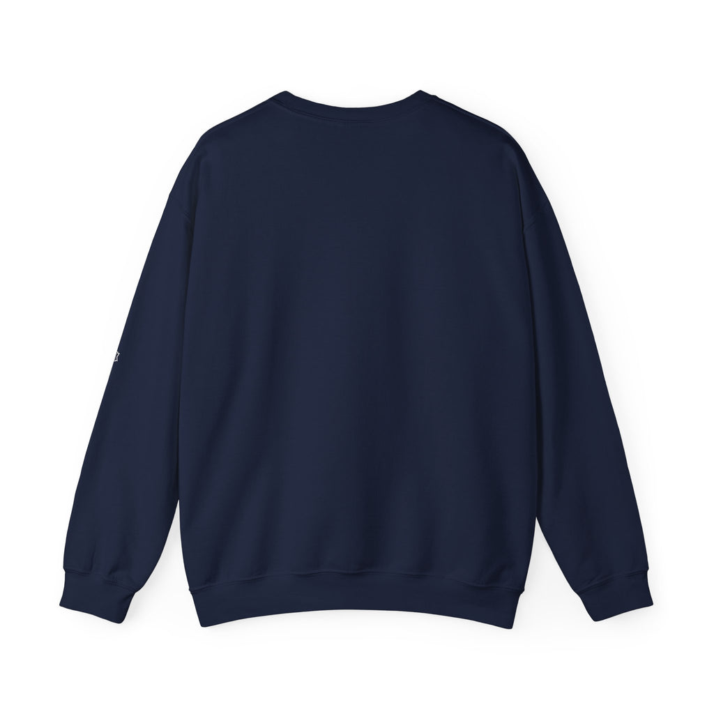 ALPR — All Life Publicly Recorded Crewneck (Black)