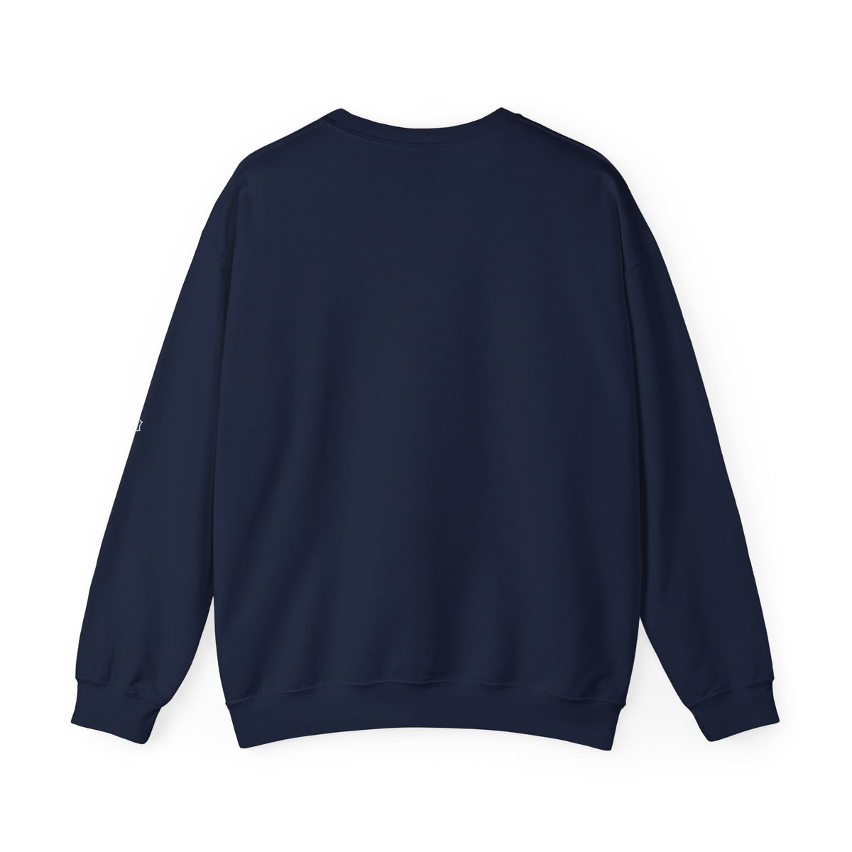 ALPR — All Life Publicly Recorded Crewneck (Black)