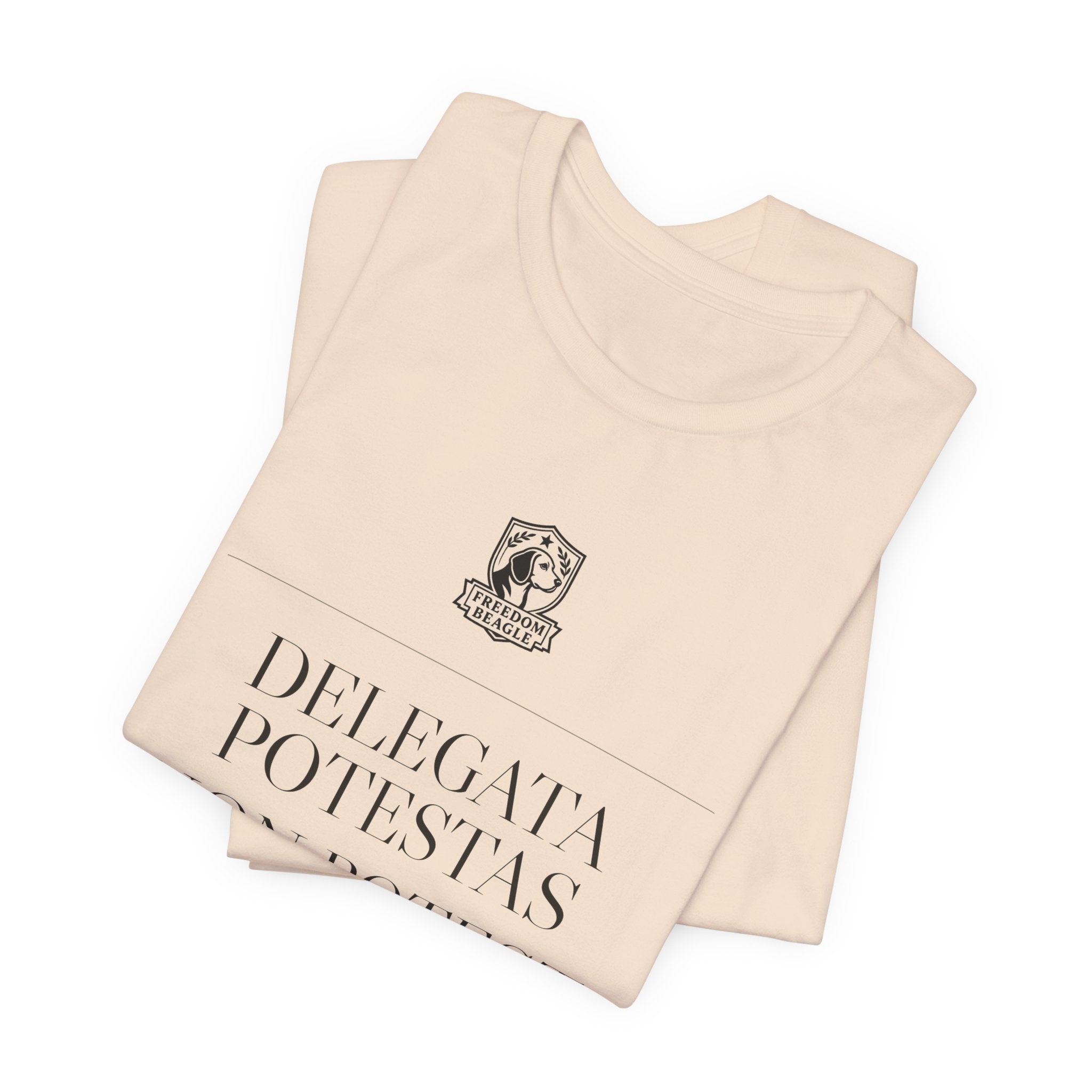 Delegata Potestas Non Potest Delegari — Administrative State Tee (Natural)