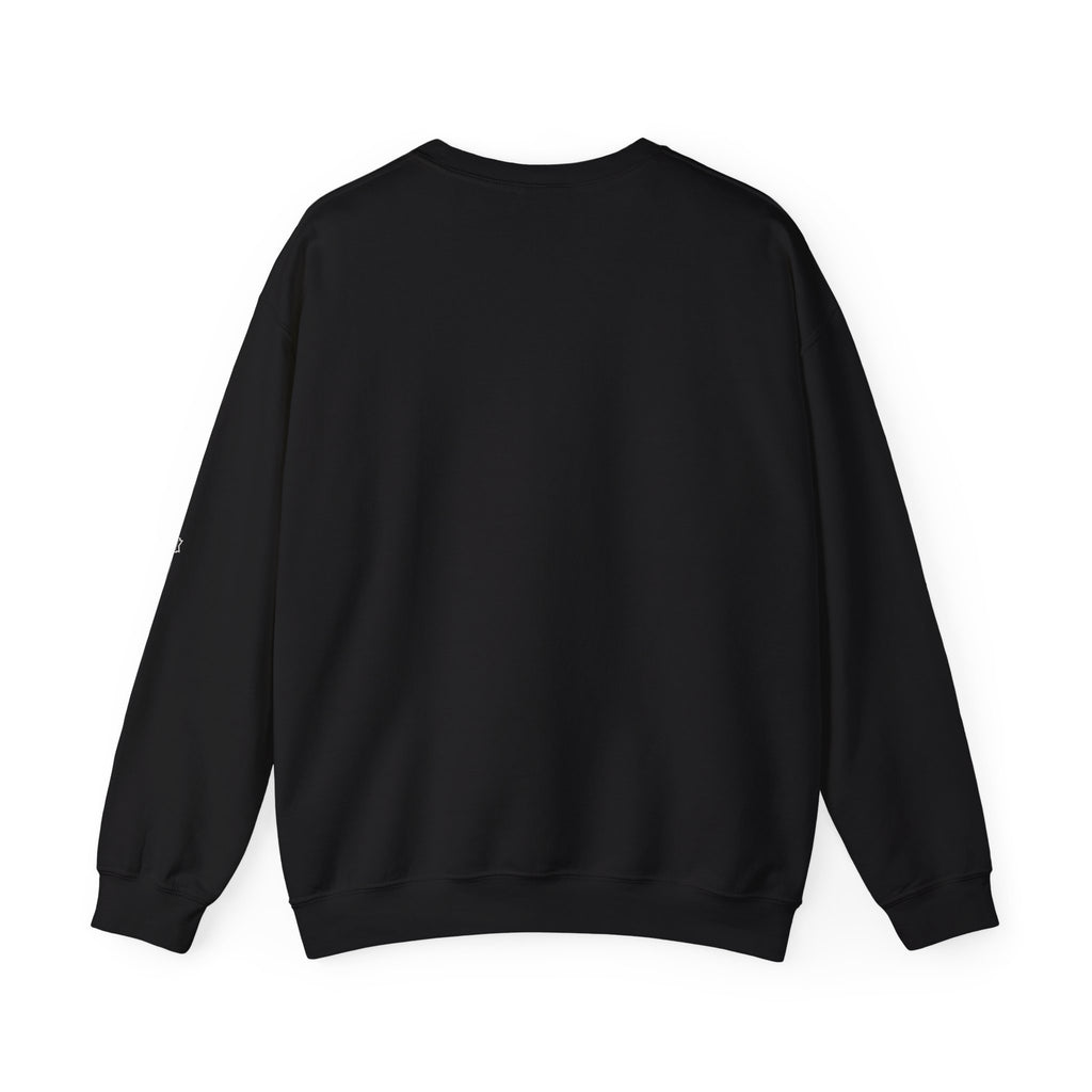 ALPR — All Life Publicly Recorded Crewneck (Black)