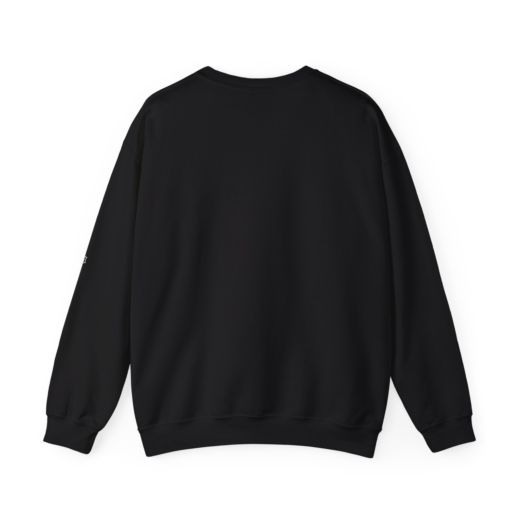 ALPR — All Life Publicly Recorded Crewneck (Black)